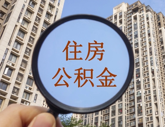 荆门退休后查不到公积金明细了吗（退休后公积金查询不到原因）